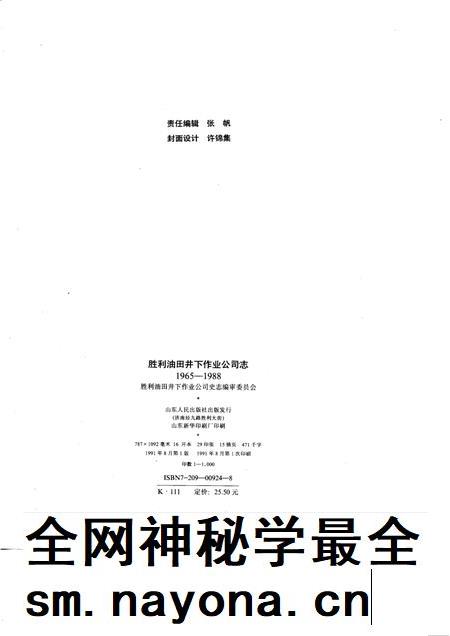 胜利油田井下作业公司志  1965-1988.pdf电子版_山东省志插图2