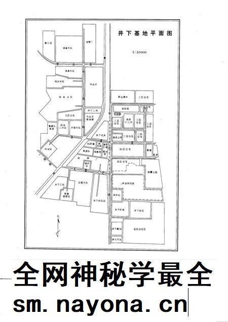 胜利油田井下作业公司志  1965-1988.pdf电子版_山东省志插图5