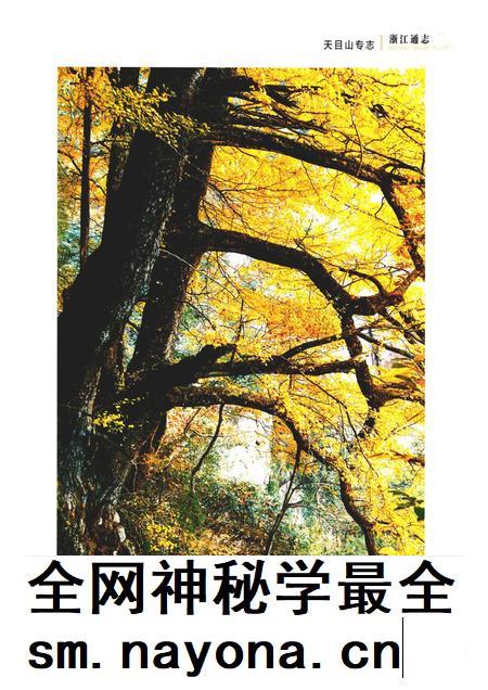 浙江通志  第101卷  天目山专志-《浙江通志》编纂委员会编-杭州：浙江人民出版社.pdf电子版_浙江省志插图3