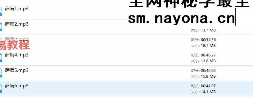 N泥鳅老师｜印加萨满初进中高全套课程音频