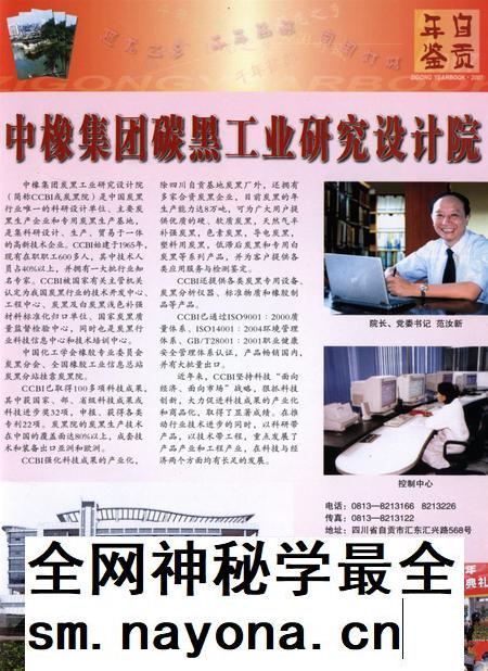 自贡年鉴2007.pdf电子版_四川省志插图4 自贡年鉴2007.pdf电子版_四川省志插图4