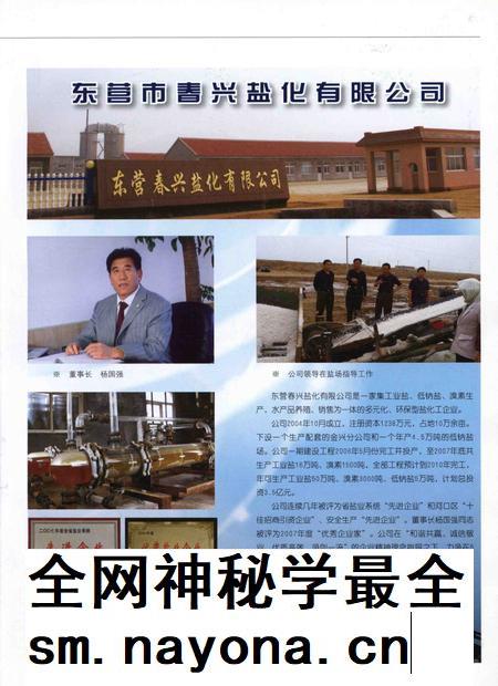河口年鉴(2008).pdf电子版_山东省志插图2