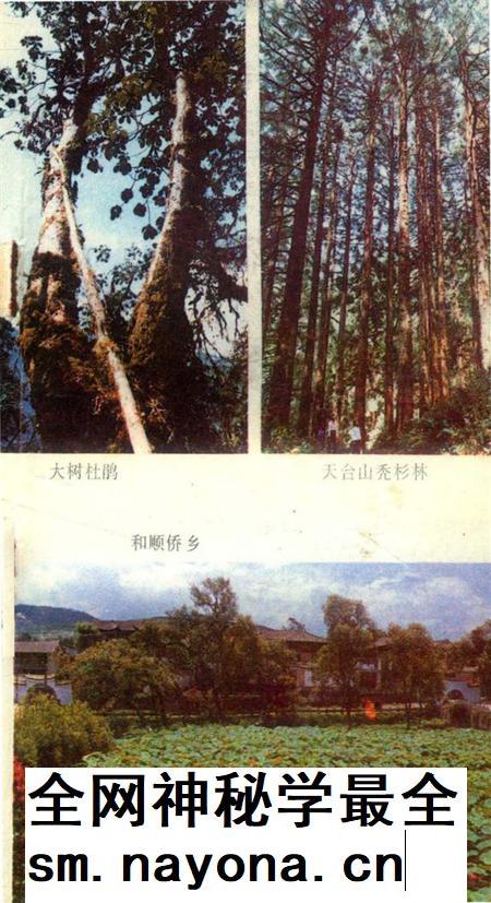 腾冲风情录.pdf电子版_云南省志插图4