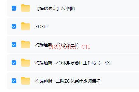 梅瑞迪斯｜ZO体系疗愈师培训1-5阶 视频课合集