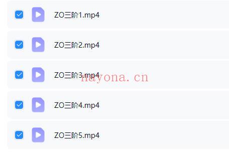 梅瑞迪斯｜ZO体系疗愈师培训1-5阶 视频课合集