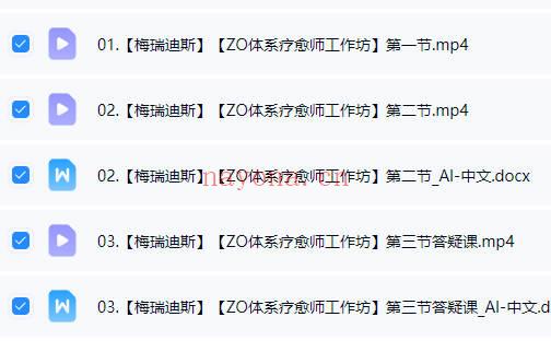梅瑞迪斯｜ZO体系疗愈师培训1-5阶 视频课合集