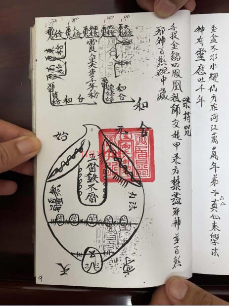 曾法能（能公)《茅山真心教曾法能亲抄法本》上册+下册.PDF电子版