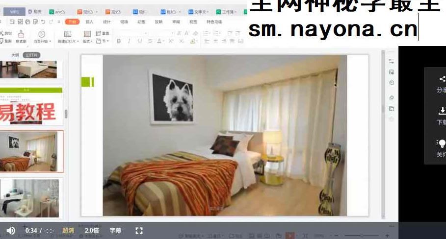 Anna-安娜环境科学（居家风水）视频8集 