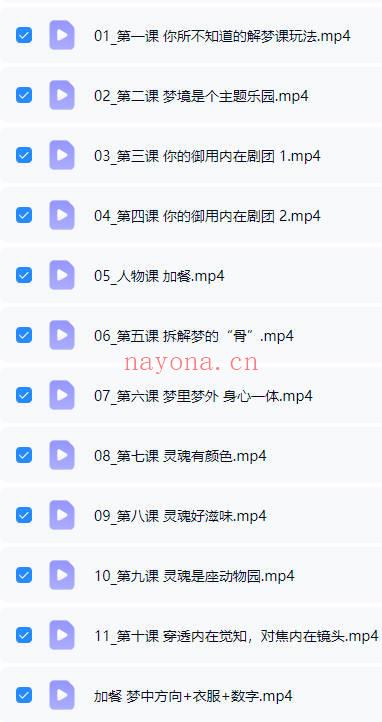 嘉旎《精准解梦 训练营》视频课12集
