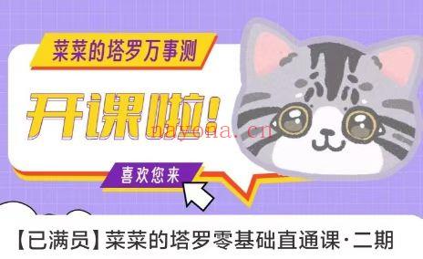 【塔罗】2024菜菜塔罗零基础直播课