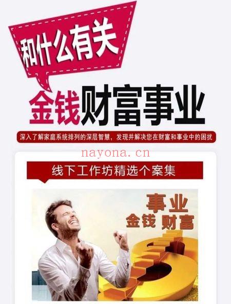 张楸枫《事业金钱财富和什么有关》视频课34集含讲解