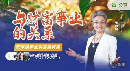 张楸枫《事业金钱财富和什么有关》视频课34集含讲解