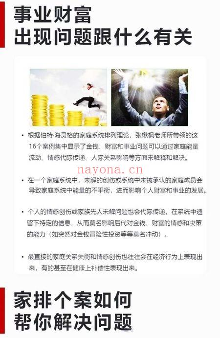 张楸枫《事业金钱财富和什么有关》视频课34集含讲解