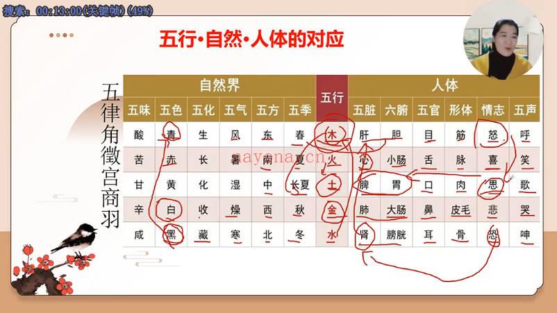 久珍老师《梅花易数》教学视频30集