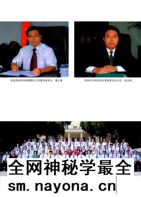 平桂年鉴第一卷2008-2009.pdf电子版_广西壮族自治区志插图5