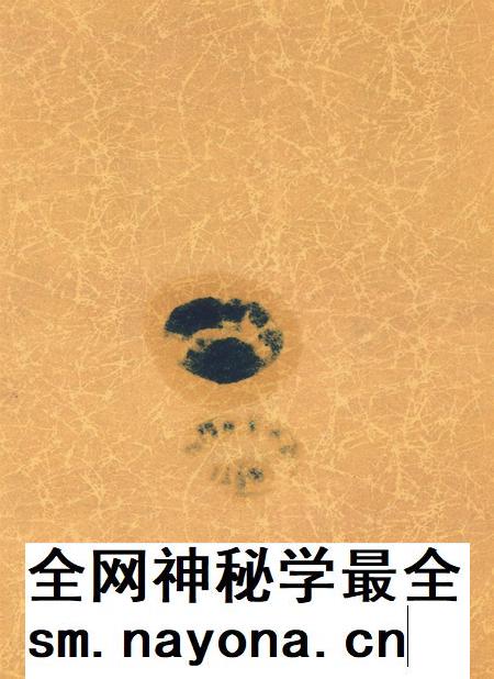 岳阳年鉴（2005）.pdf电子版_四川省志插图2