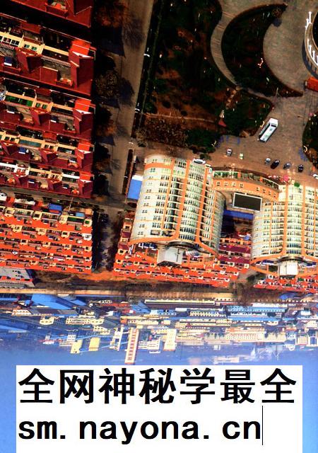 大宗村志.pdf电子版_山东省志插图2