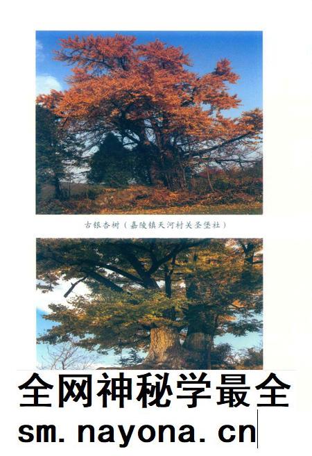 徽县文史资料第39期.pdf电子版_甘肃省志插图5 徽县文史资料第39期.pdf电子版_甘肃省志插图5
