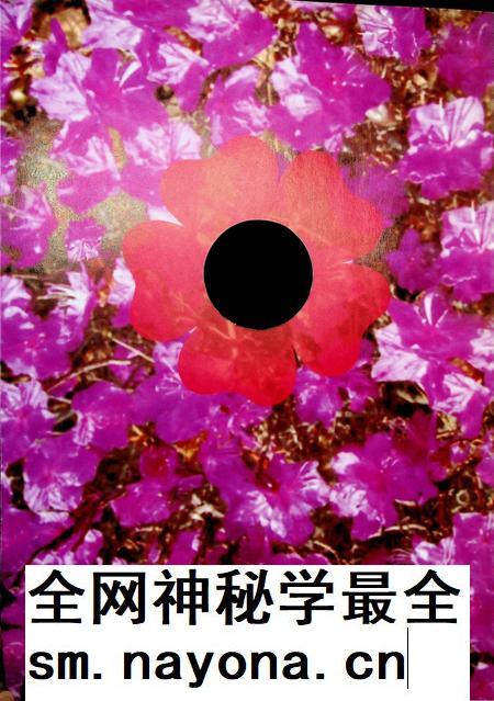 延边歌舞团60周年.pdf电子版_吉林省志插图4 延边歌舞团60周年.pdf电子版_吉林省志插图4