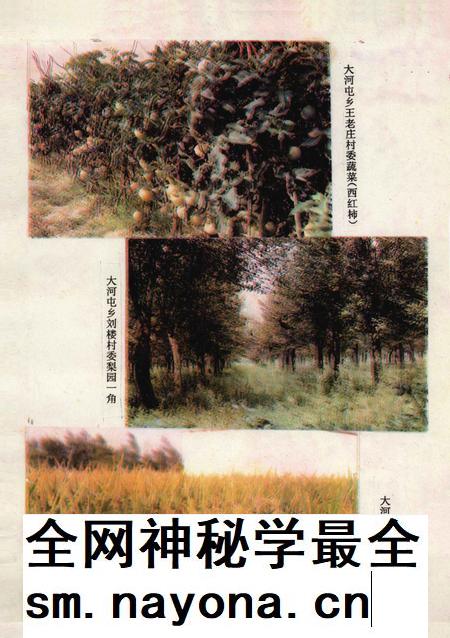大河屯乡志.pdf电子版_河南省志插图5 大河屯乡志.pdf电子版_河南省志插图5