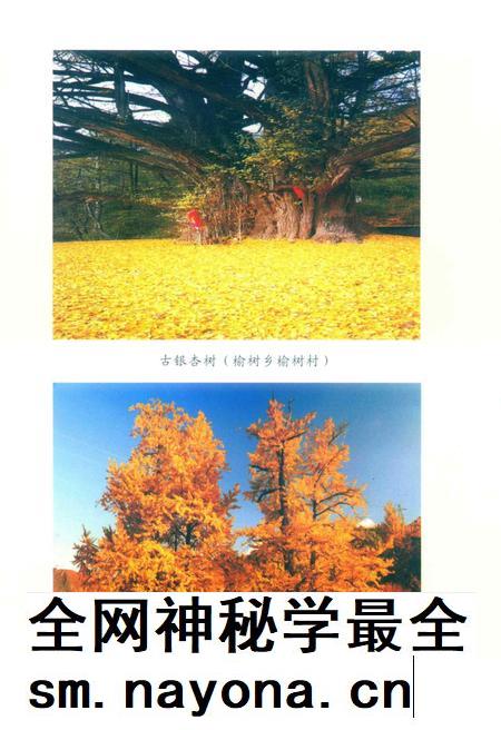 徽县文史资料第39期.pdf电子版_甘肃省志插图3 徽县文史资料第39期.pdf电子版_甘肃省志插图3
