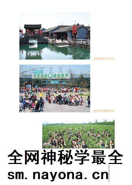 天宫庄园  湾底村志.pdf电子版_浙江省志插图3