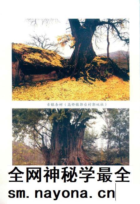 徽县文史资料第39期.pdf电子版_甘肃省志插图2 徽县文史资料第39期.pdf电子版_甘肃省志插图2