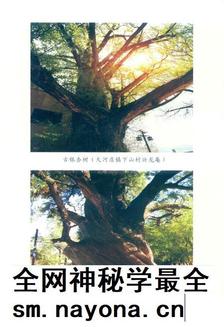 徽县文史资料第39期.pdf电子版_甘肃省志插图4 徽县文史资料第39期.pdf电子版_甘肃省志插图4