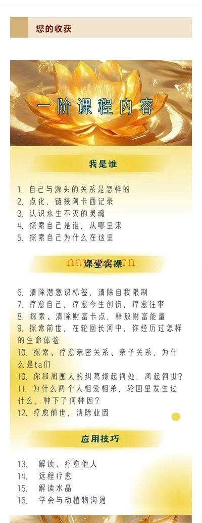如是智慧 郭旭辉《阿卡西记录 阅读疗愈师课程》22节
