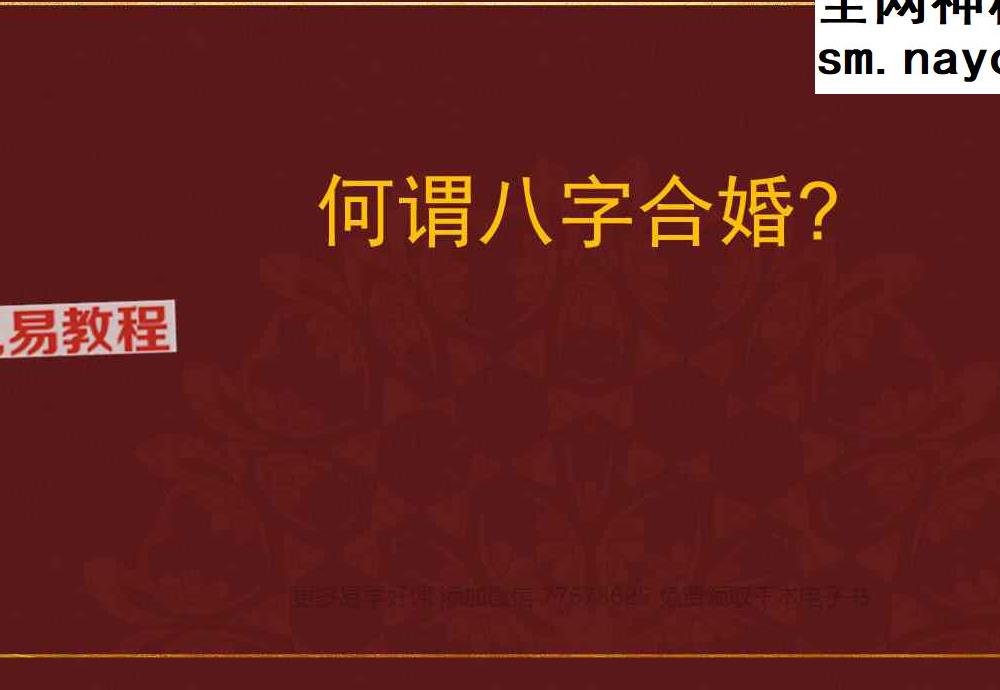 罗靖皓 德皓-合婚PDF.pdf 48页