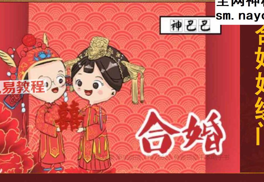 罗靖皓 德皓-合婚PDF.pdf 48页