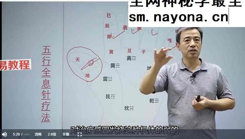 杨氏全息针课程视频26集