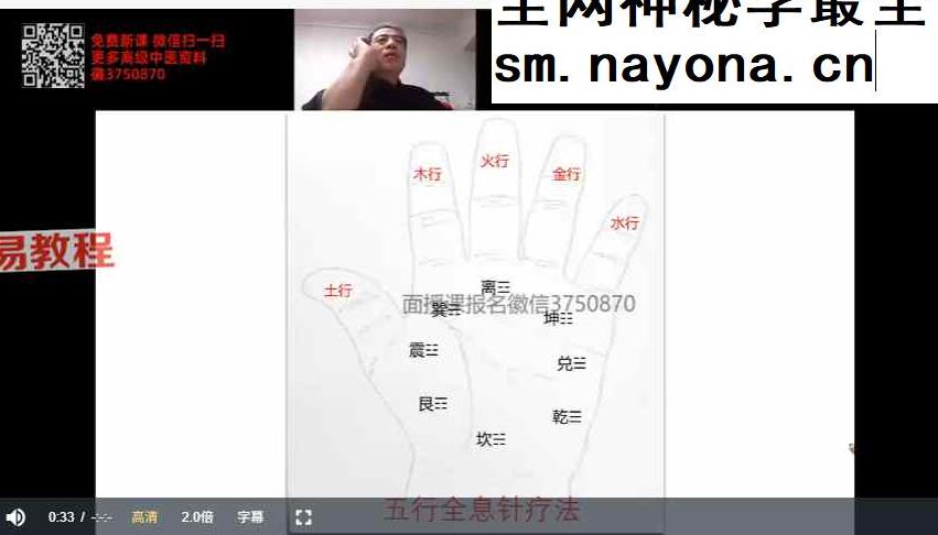 杨氏全息针课程视频26集