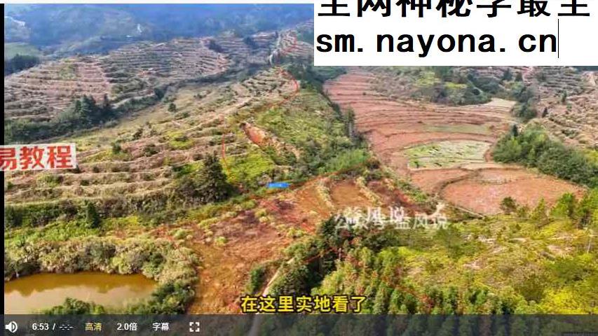 益风形势系统精讲课58集视频