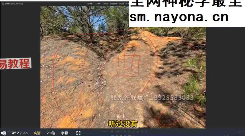 益风形势系统精讲课58集视频