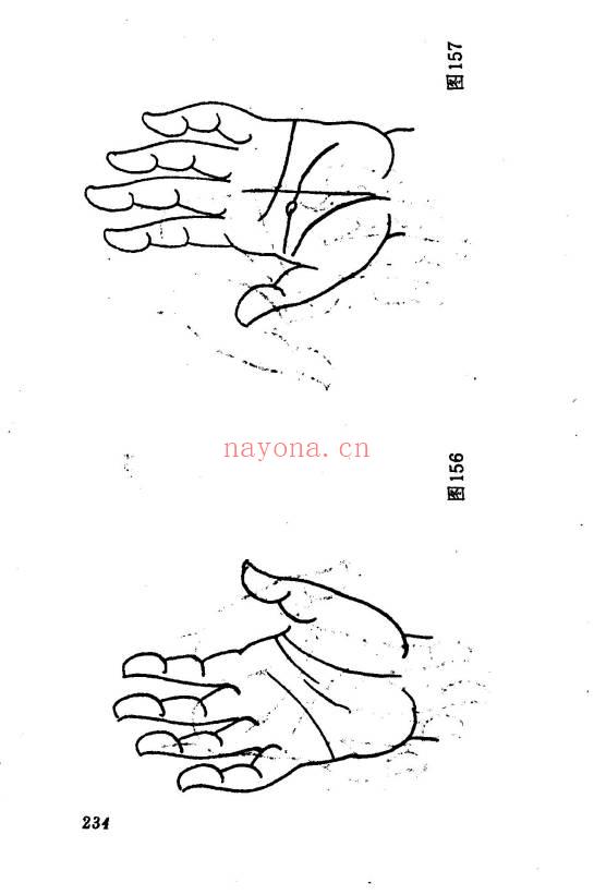 洪丕谟 张文《手相测病大全》274页.PDF电子版