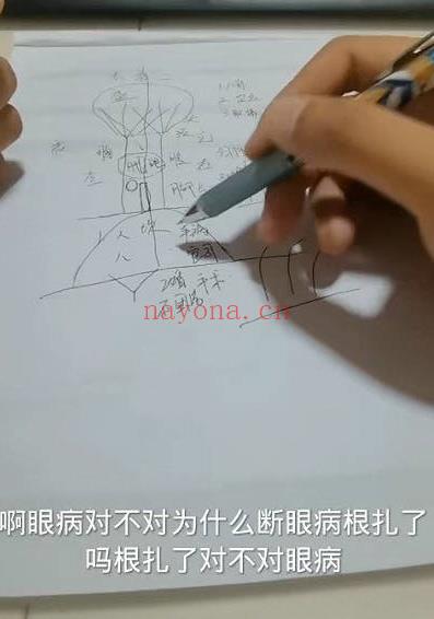 混元绝技《混元地理拔草断技法》望坟神断拔草断事教学 视频10集