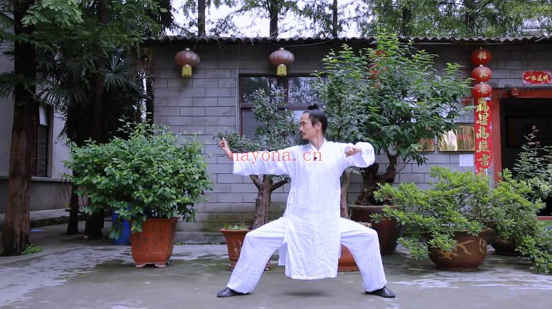 武当袁师懋道长《养生八段锦（详细讲解）》视频10集