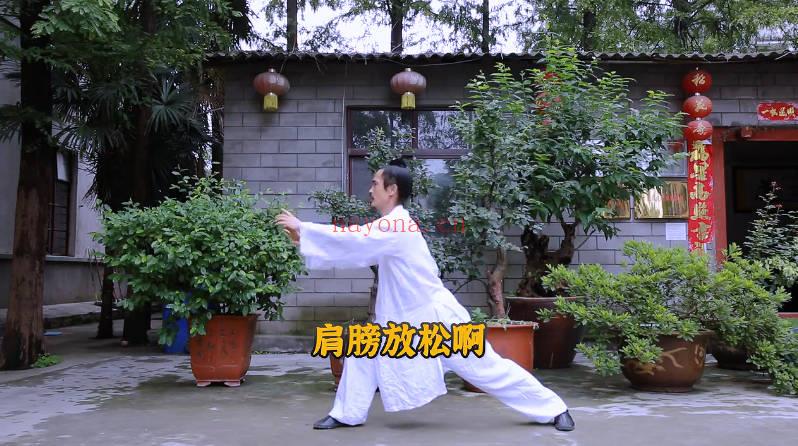 武当袁师懋道长《养生八段锦（详细讲解）》视频10集