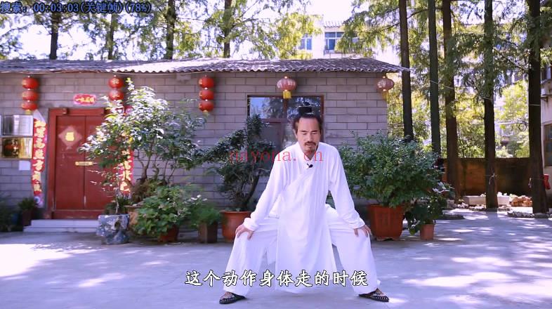 武当袁师懋道长《养生八段锦（详细讲解）》视频10集