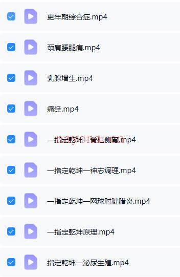 杨锡安《一指定乾坤》视频9集