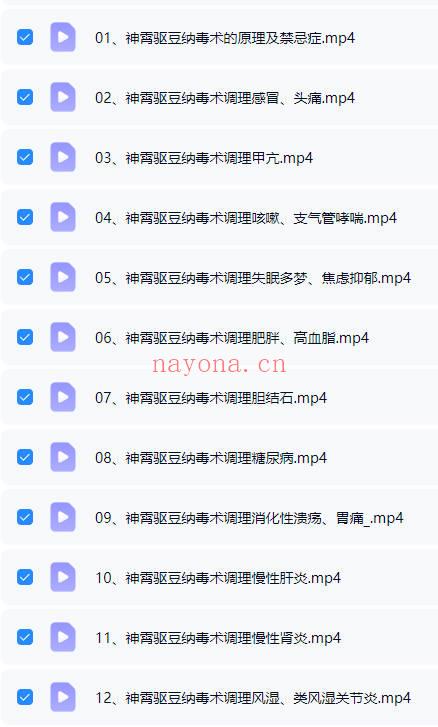 张东方张道长《神霄驱豆纳毒术》视频12集