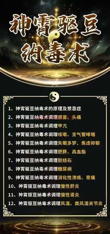 张东方张道长《神霄驱豆纳毒术》视频12集