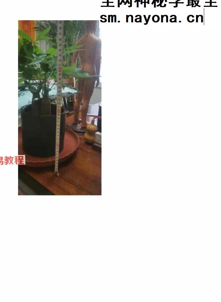 招财秘法资料9套合集pdf