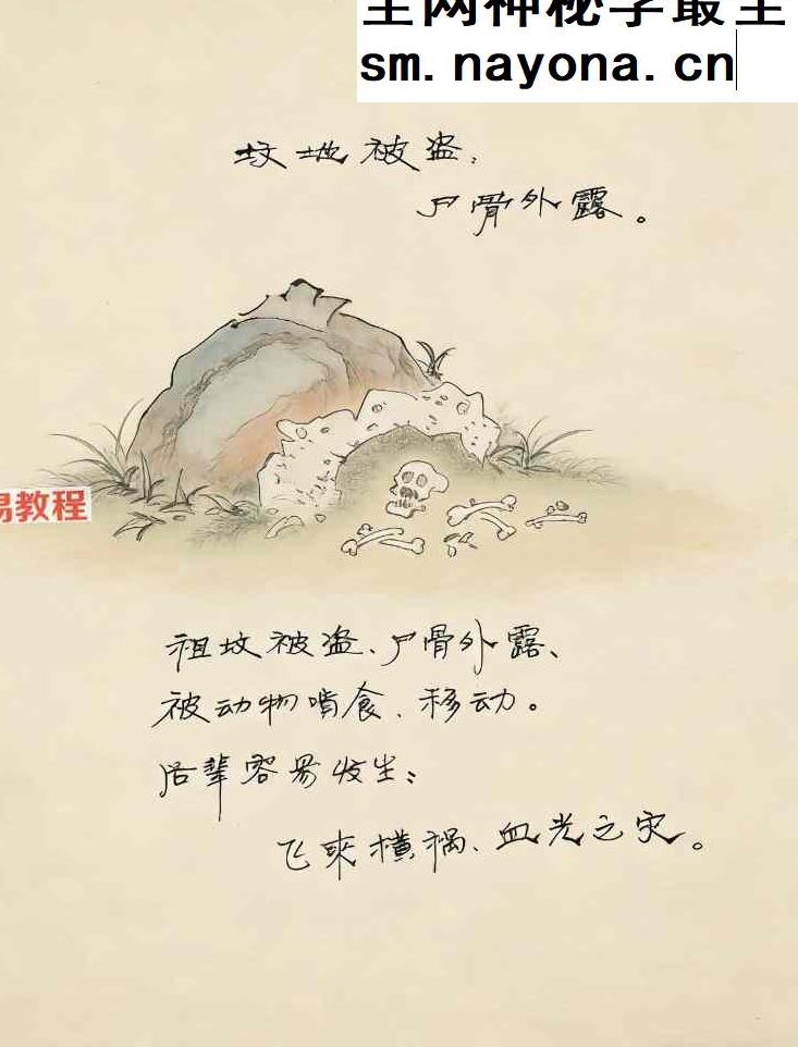 望坟直断绝招，出官，出贵，出人才、入坟断.pdf 91页