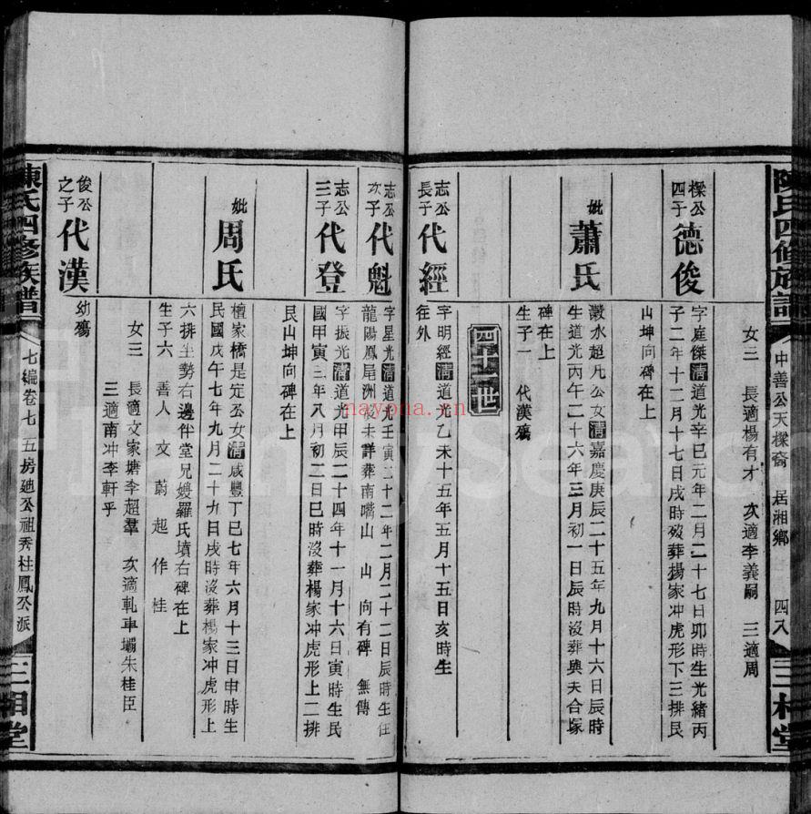 陈氏四修族谱(犹他州藏湖南省图书馆藏本)共3册