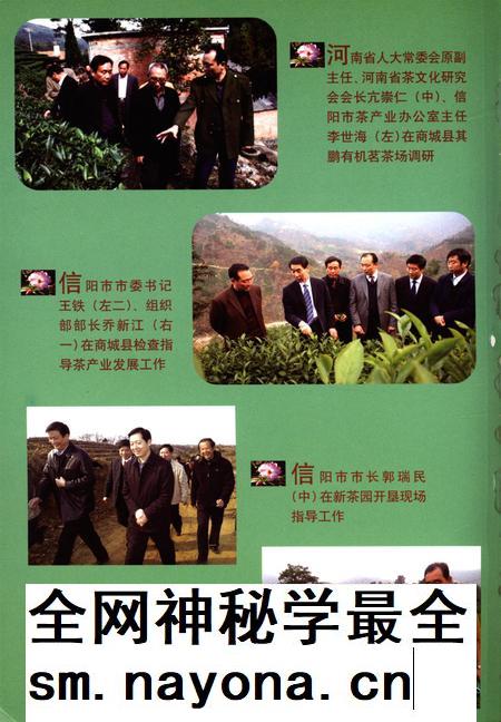 信阳论茶.pdf电子版_河南省志插图1 信阳论茶.pdf电子版_河南省志插图1