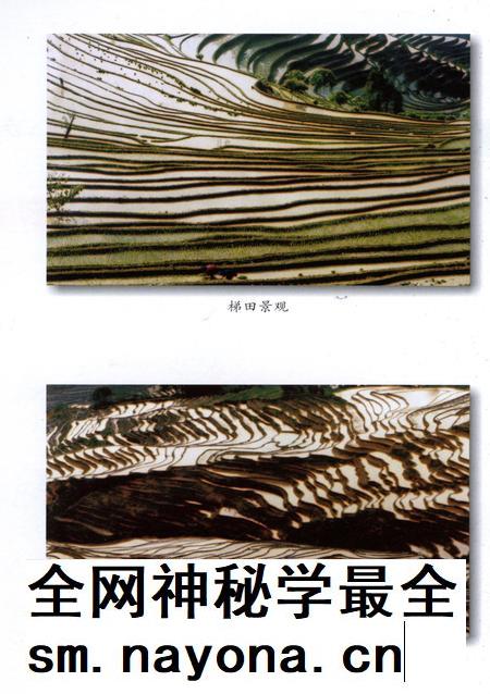 元阳文史资料选辑(第四辑).pdf电子版_云南省志插图5 元阳文史资料选辑(第四辑).pdf电子版_云南省志插图5