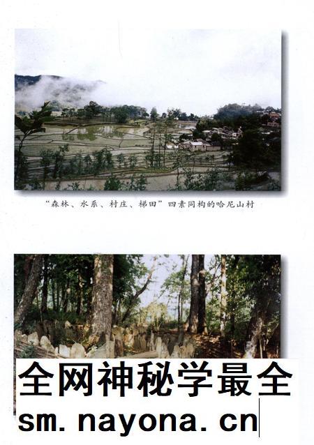 元阳文史资料选辑(第四辑).pdf电子版_云南省志插图4 元阳文史资料选辑(第四辑).pdf电子版_云南省志插图4
