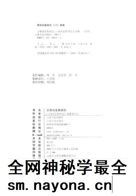 云南冶金集团志  1983-2003年.pdf电子版_云南省志插图1